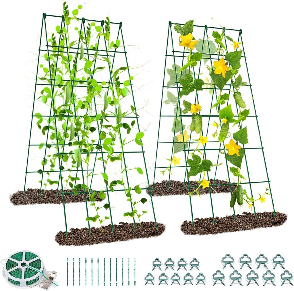 Foldable Plant Trellis