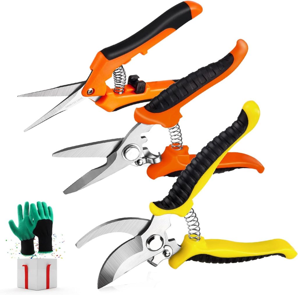 Pruners Set by Wevove 
