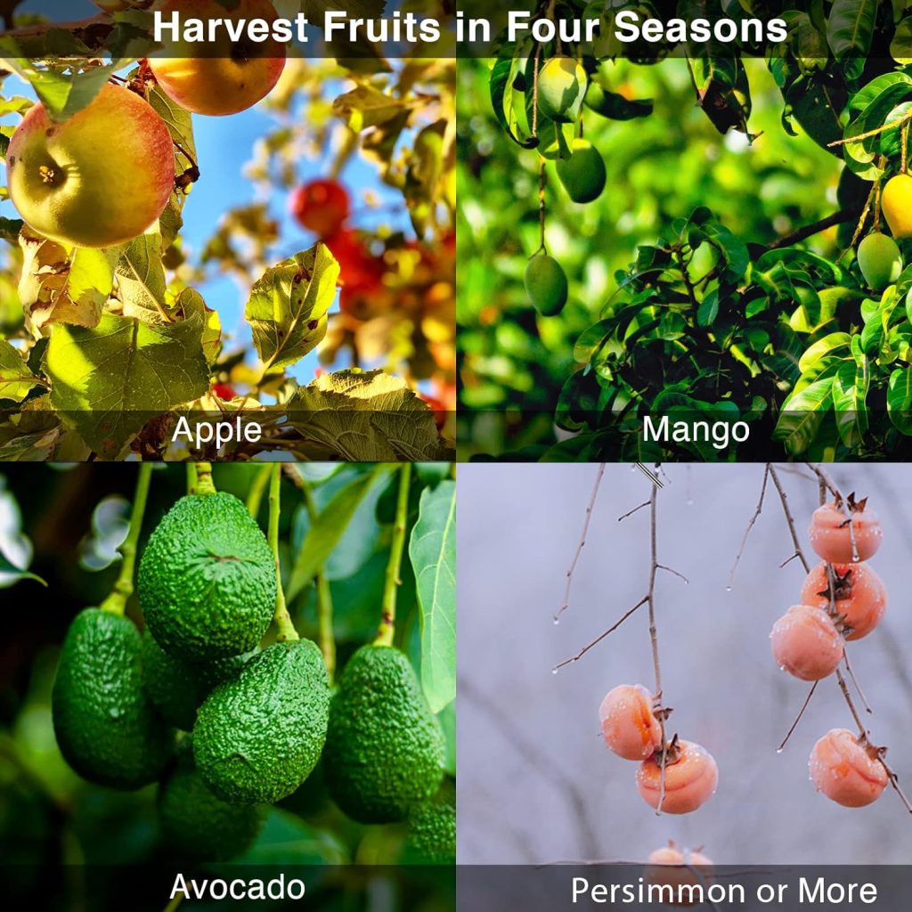 organic orchard fruits