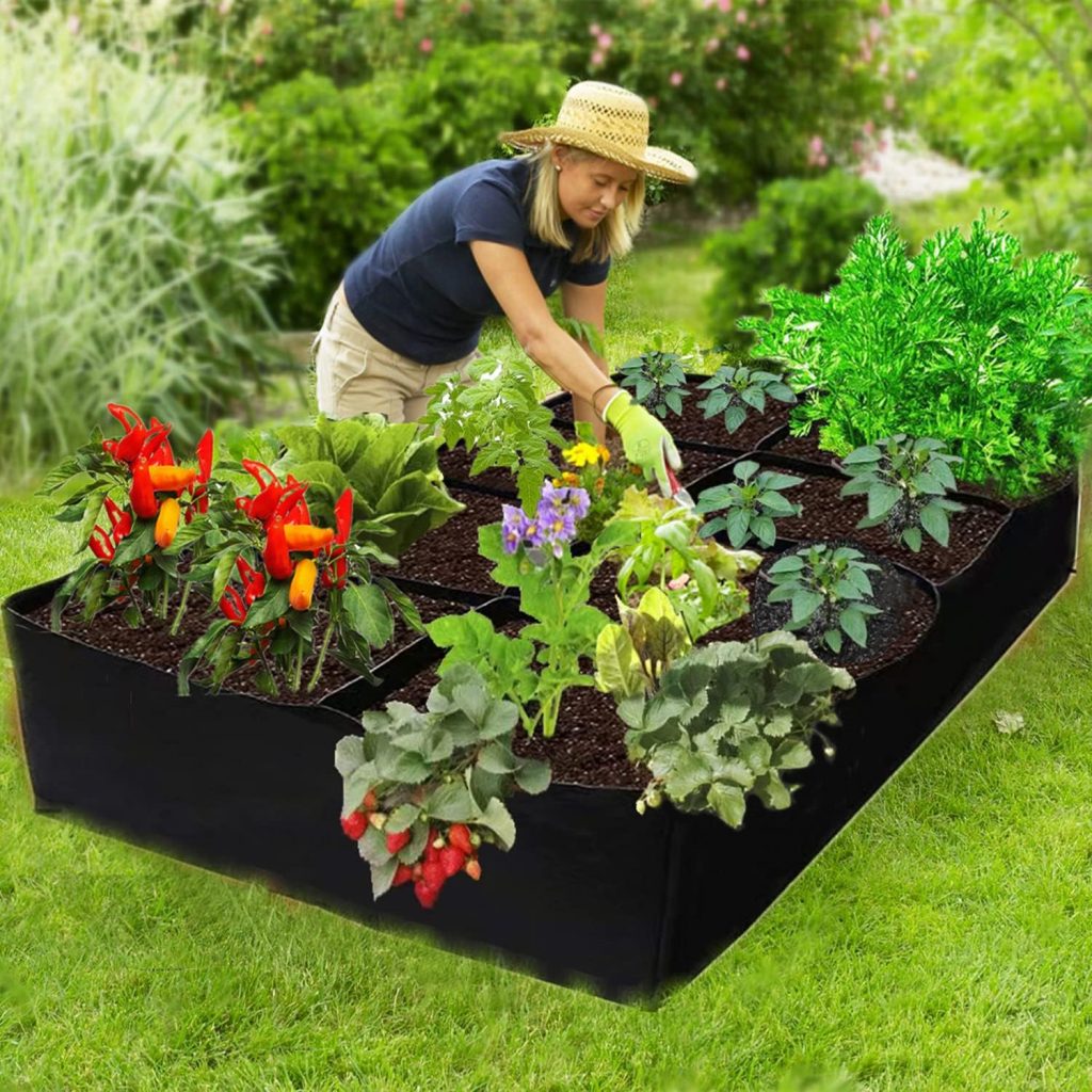 biodynamic gardening