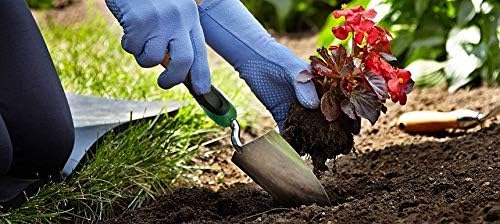 organic fertilization