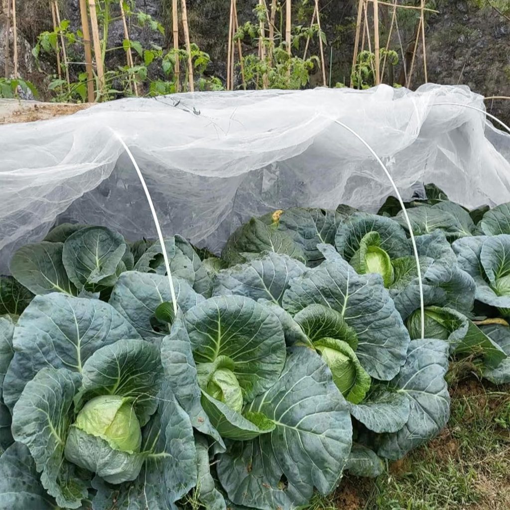 staying healthy through gardening